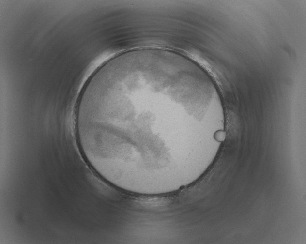 X0000116301474200912291422