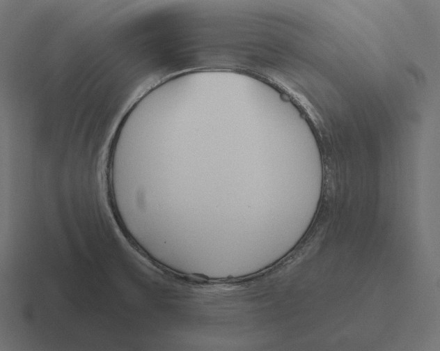 X0000116301475200912291422