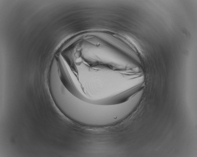 X0000116301476200912291422