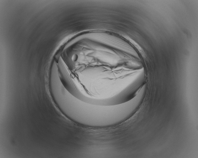 X0000116301477200912291422