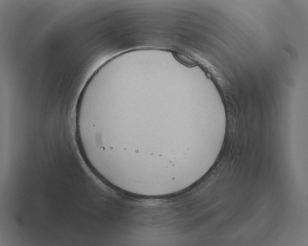 X0000116301479200912291422