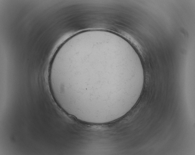 X0000116301480200912291422