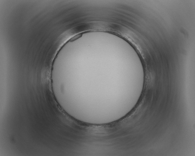 X0000116301481200912291422