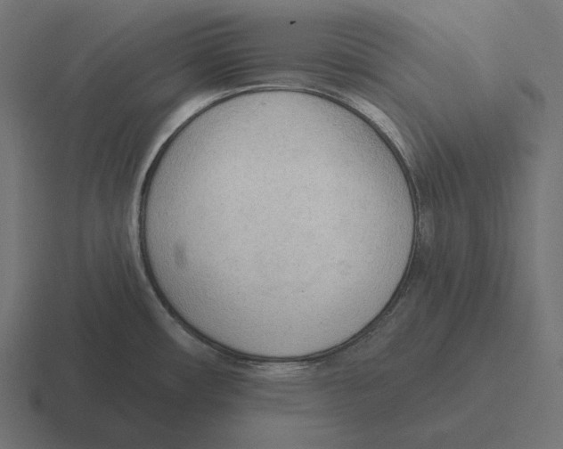 X0000116301482200912291422