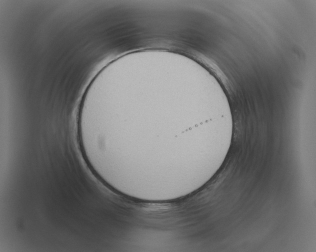 X0000116301483200912291422