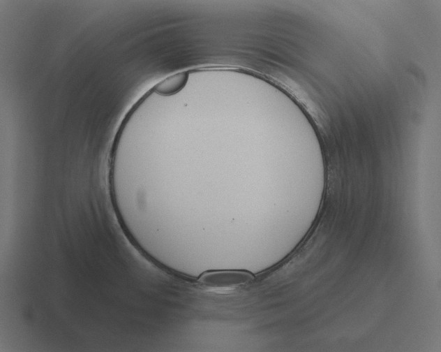 X0000116301484200912291422