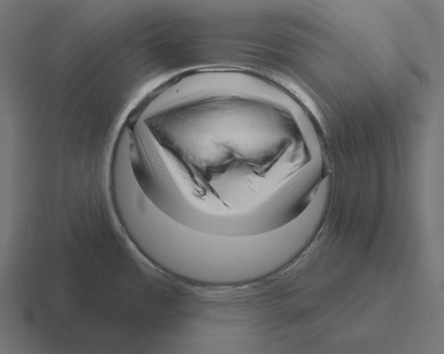 X0000116301485200912291422