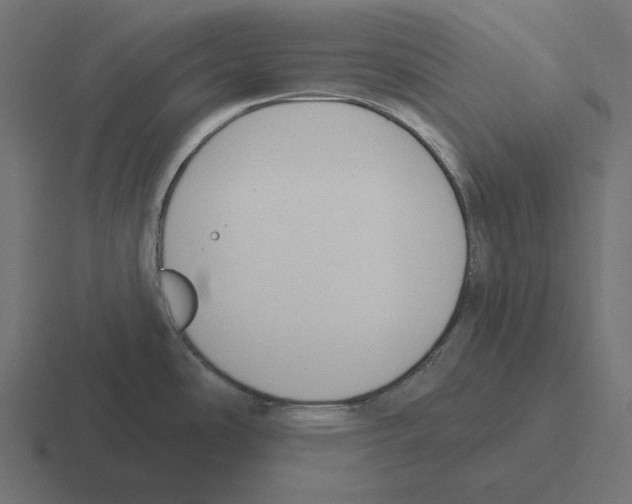 X0000116301486200912291422