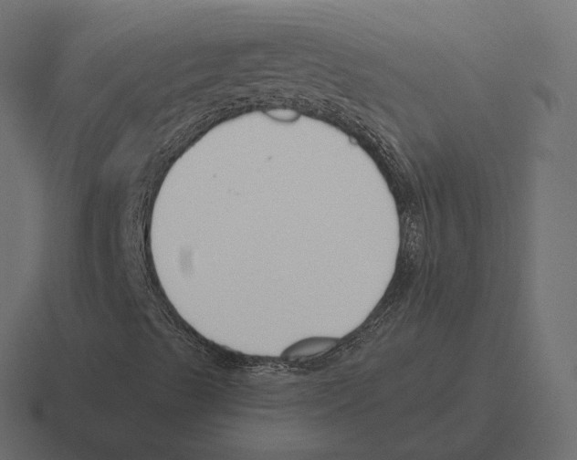 X0000116301489200912291421