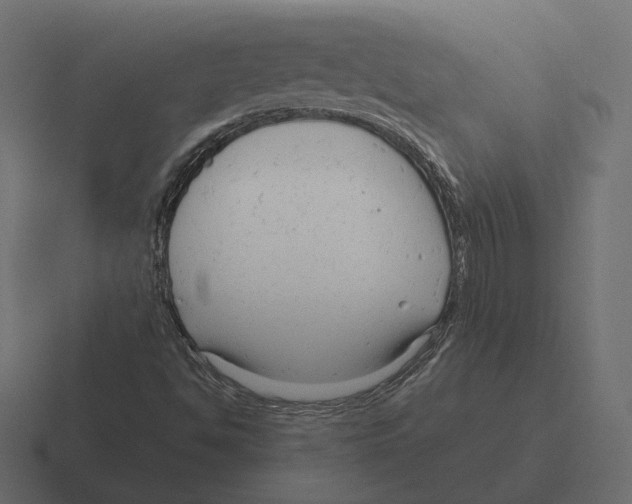 X0000116301494200912291421