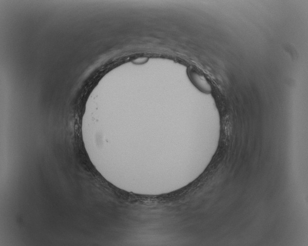 X0000116301495200912291421