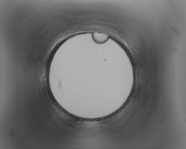 X0000116301498200912291421