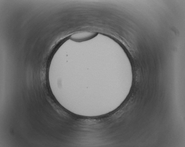 X0000116301499200912291421