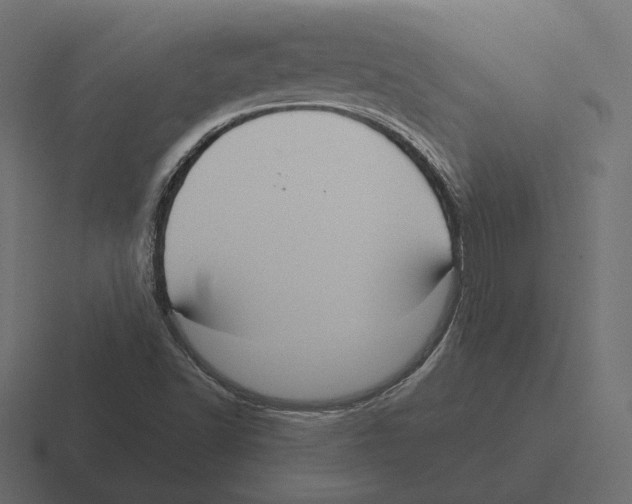 X0000116301502200912291421