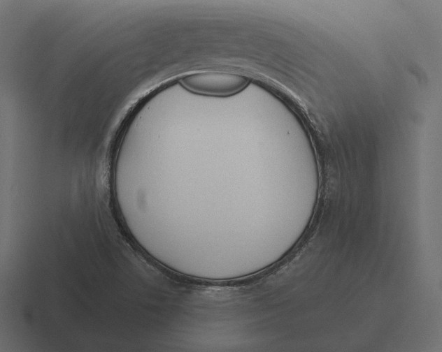 X0000116301506200912291421