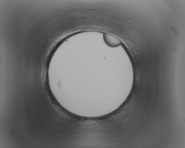 X0000116301507200912291421