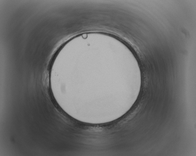 X0000116301509200912291421