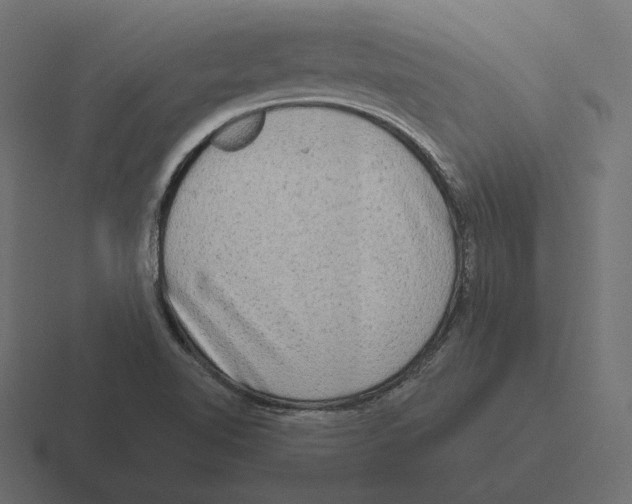 X0000116301510200912291422