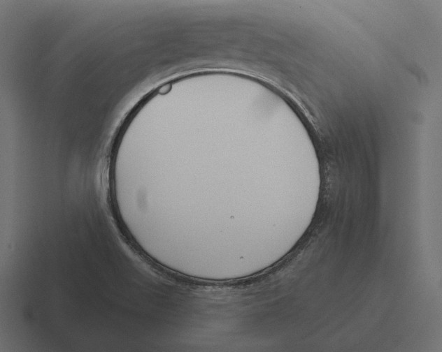 X0000116301511200912291422