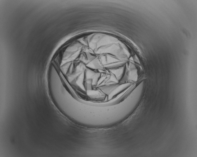 X0000116301514200912291422