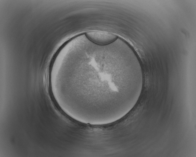 X0000116301515200912291422