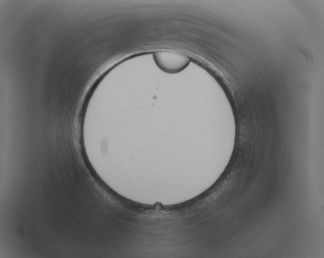 X0000116301517200912291422