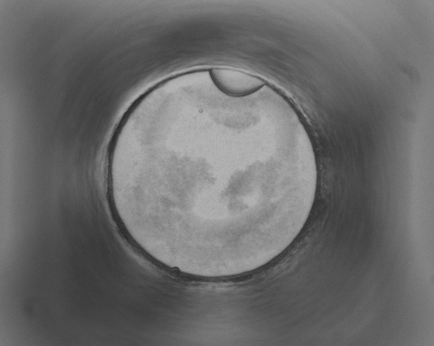 X0000116301519200912291422