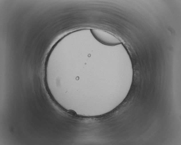 X0000116301523200912291422