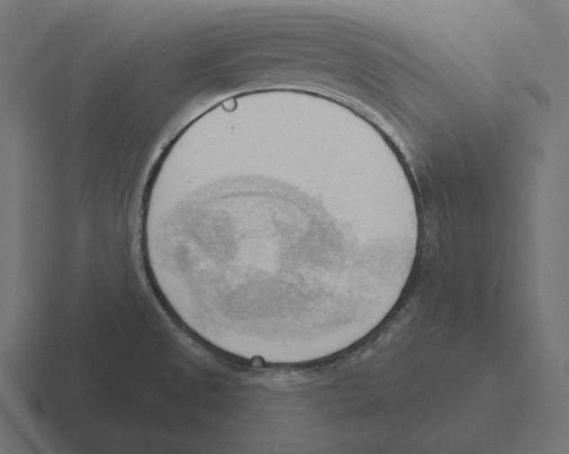 X0000116301525200912291422