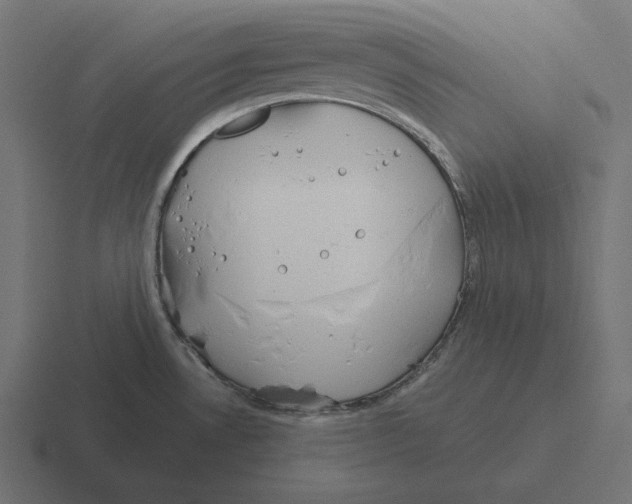 X0000116301530200912291422