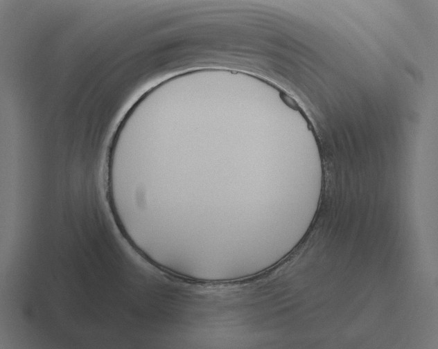 X0000116301531200912291422