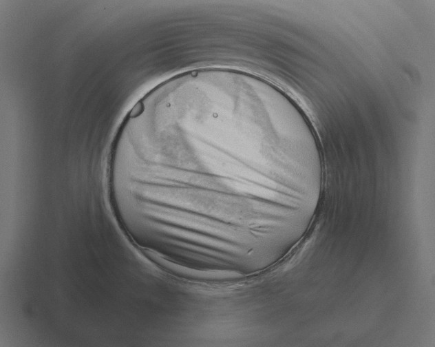 X0000116301533200912291422