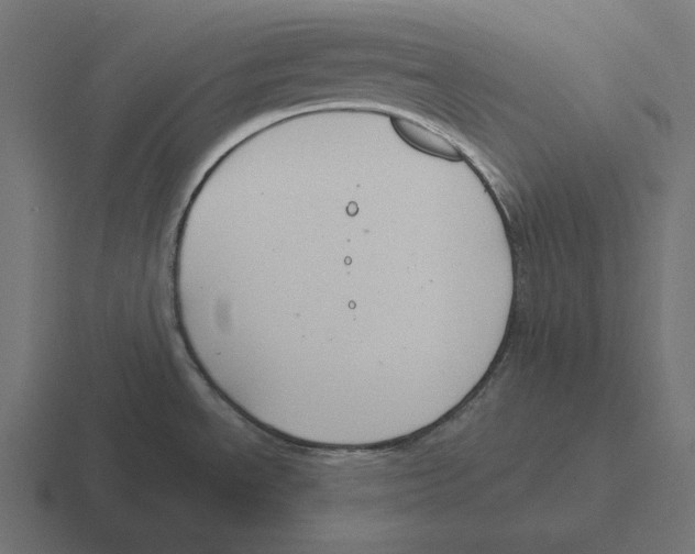 X0000116301534200912291422