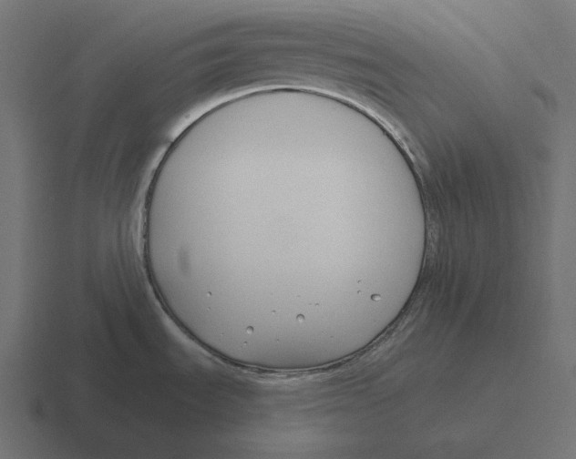 X0000116301535200912291422