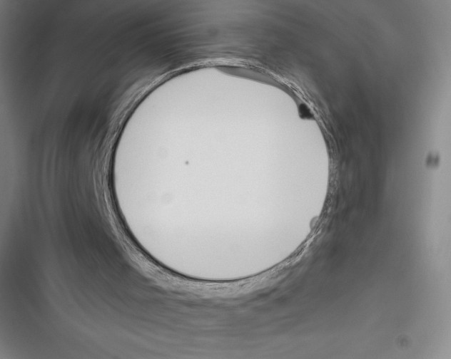 X0000116300001201001111127