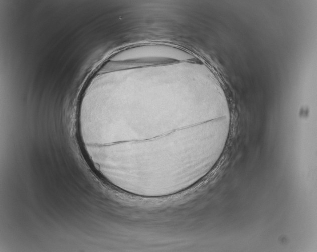 X0000116300002201001111127