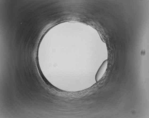 X0000116300003201001111127