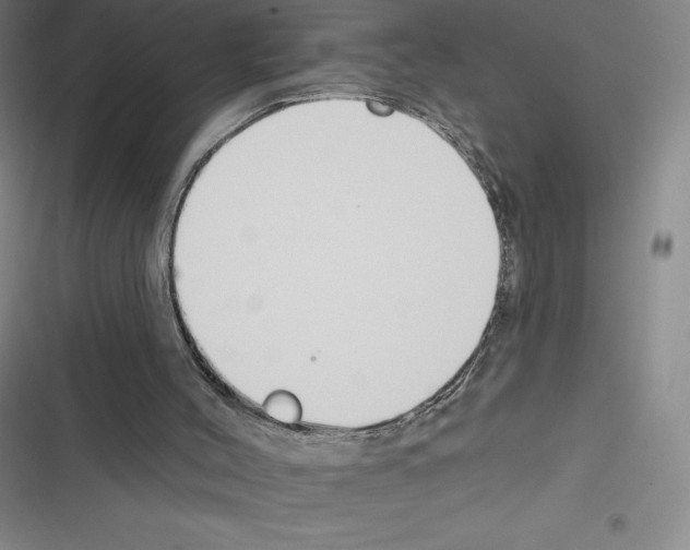 X0000116300004201001111127