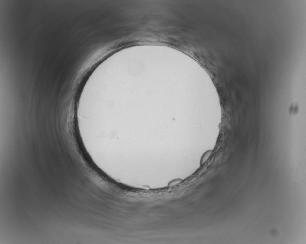 X0000116300005201001111127