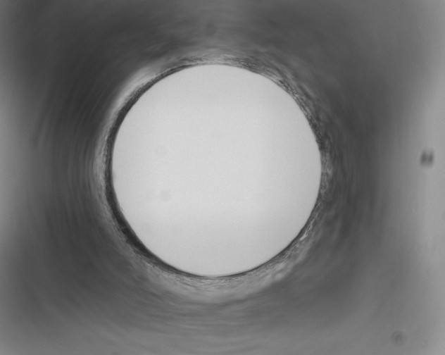 X0000116300006201001111127