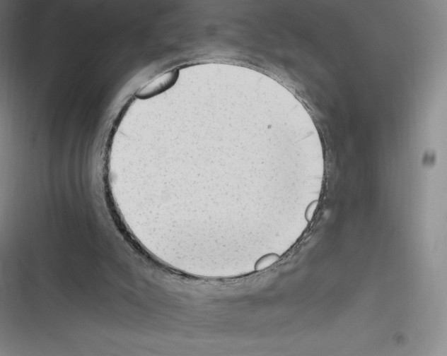 X0000116300007201001111127