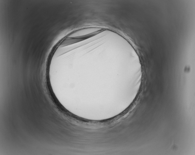 X0000116300008201001111127