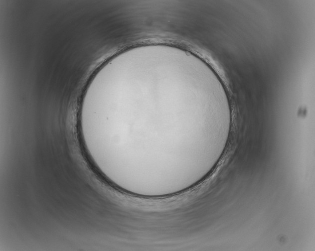 X0000116300010201001111127