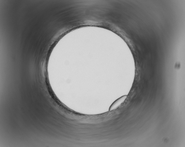 X0000116300011201001111127