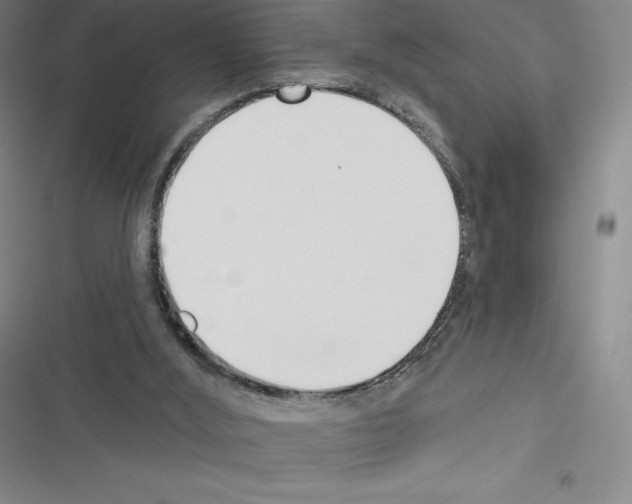 X0000116300012201001111127