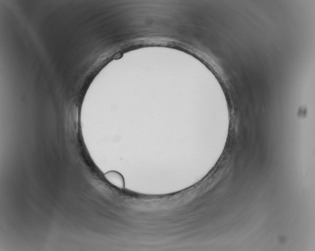 X0000116300013201001111127