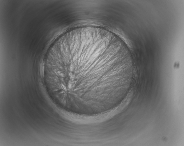 X0000116300014201001111127