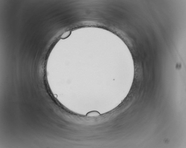 X0000116300015201001111127