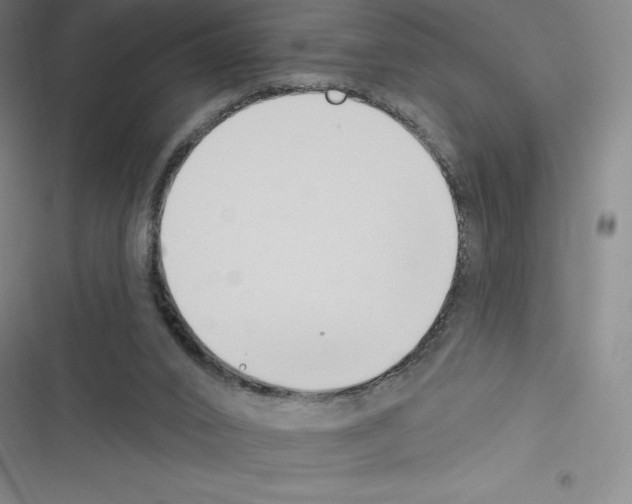 X0000116300016201001111127