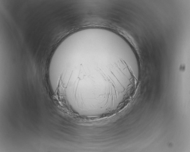 X0000116300017201001111127